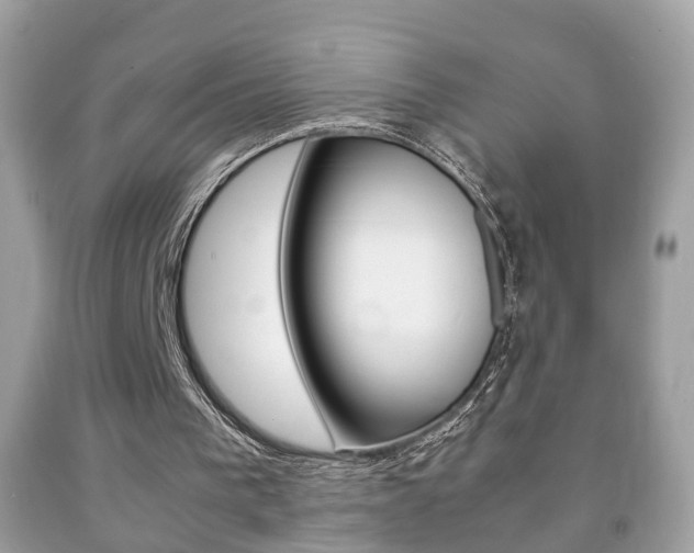 X0000092210193200709140908