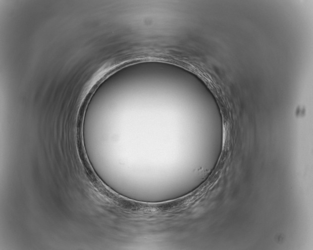 X0000092210195200709140908