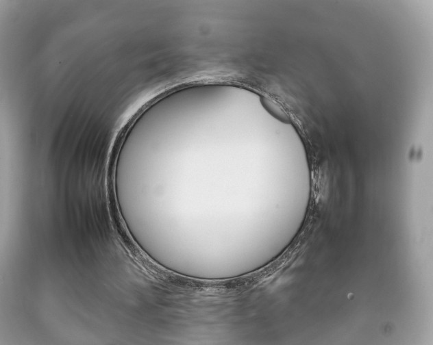 X0000092210196200709140908