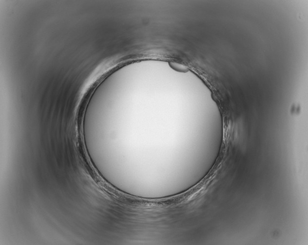 X0000092210198200709140908