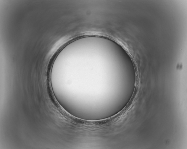 X0000092210199200709140908