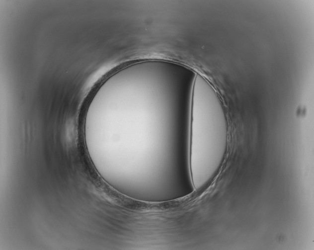 X0000092210200200709140908
