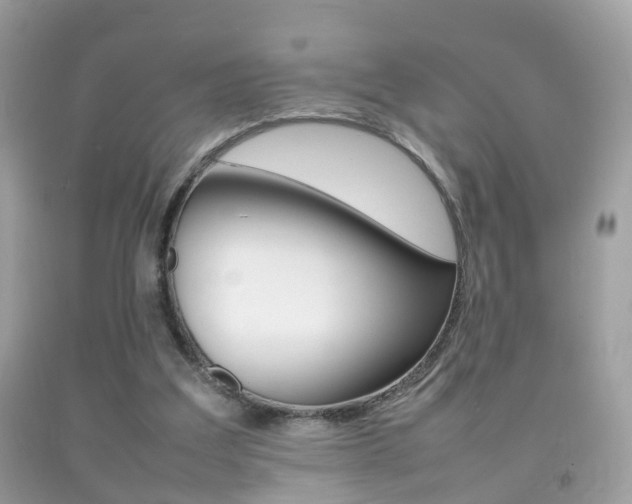 X0000092210203200709140908