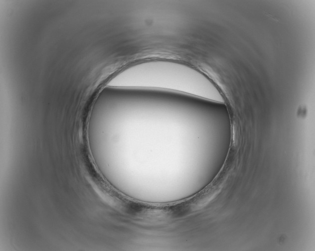 X0000092210205200709140908