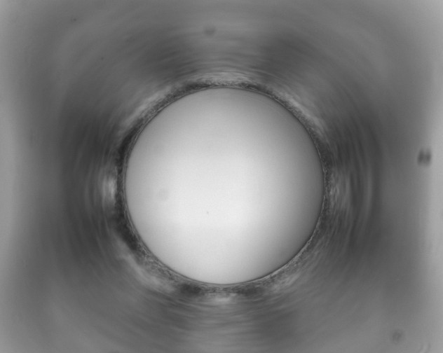 X0000092210206200709140908