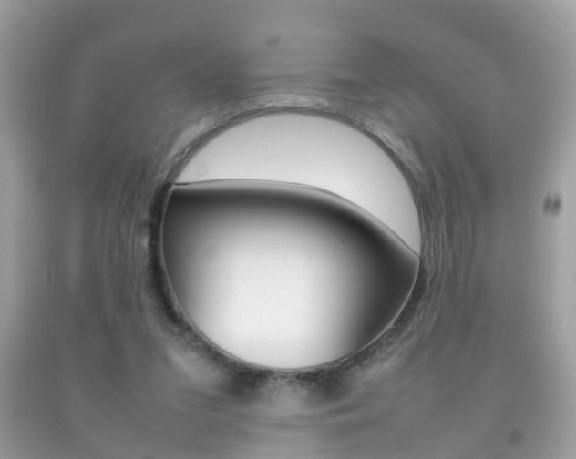 X0000092210207200709140908