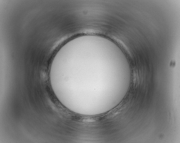X0000092210208200709140908