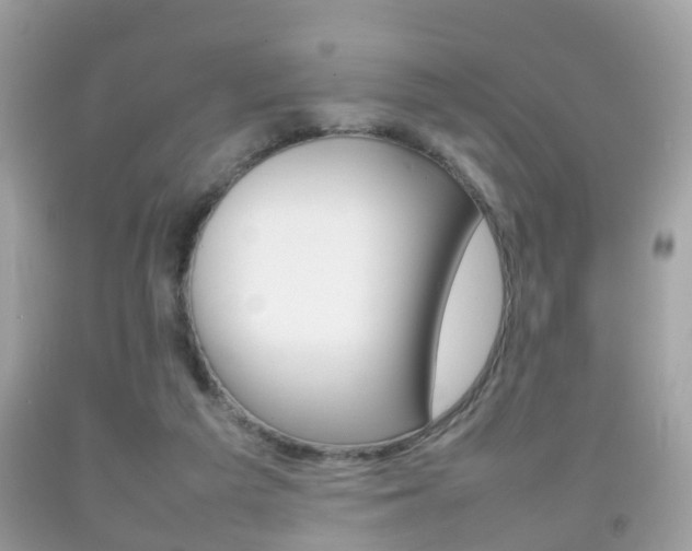 X0000092210209200709140908