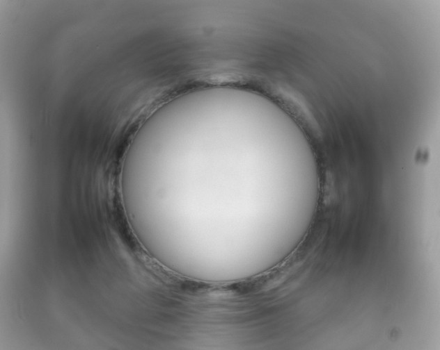 X0000092210210200709140908