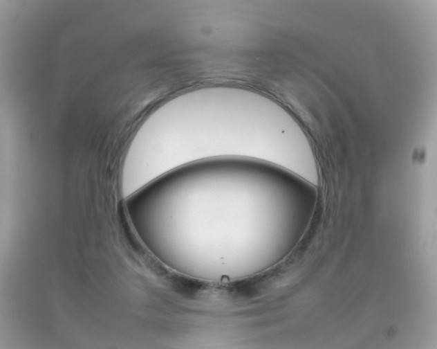 X0000092210211200709140908
