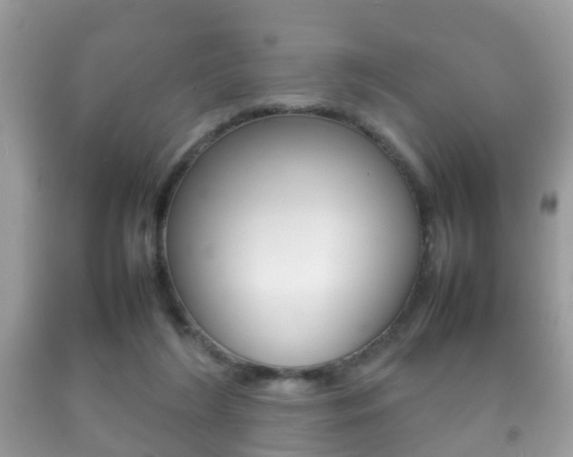X0000092210212200709140908