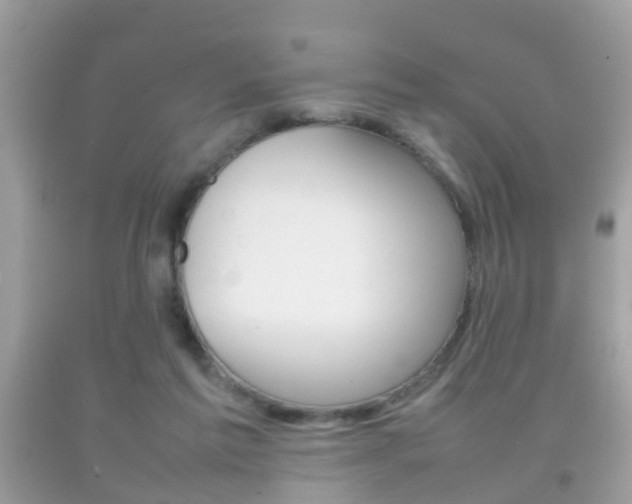 X0000092210213200709140908