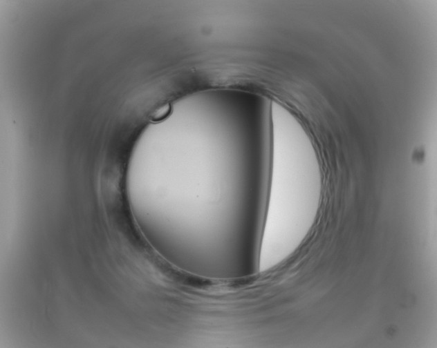 X0000092210219200709140908