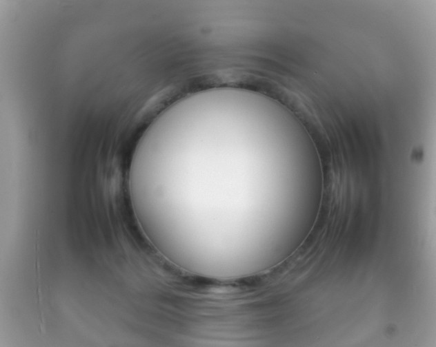 X0000092210220200709140908