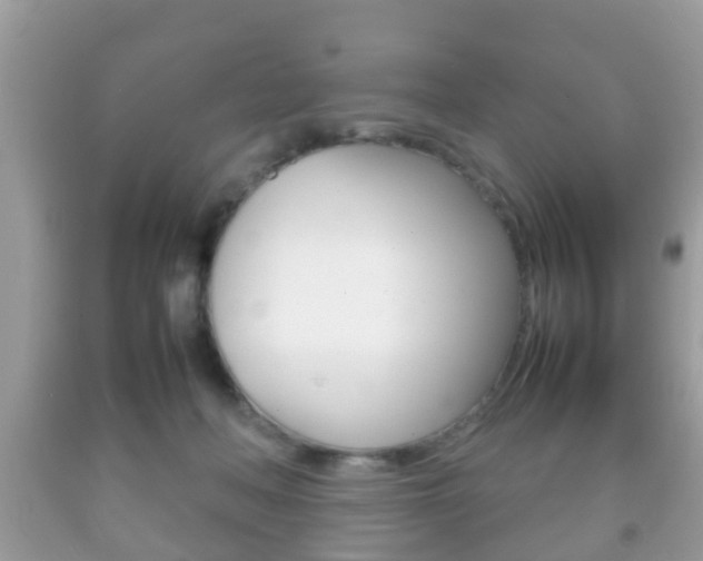 X0000092210222200709140908