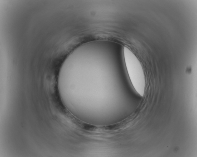 X0000092210223200709140908