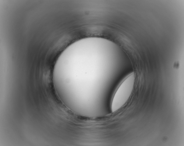 X0000092210224200709140908