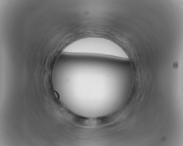 X0000092210225200709140908