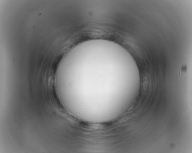 X0000092210226200709140908