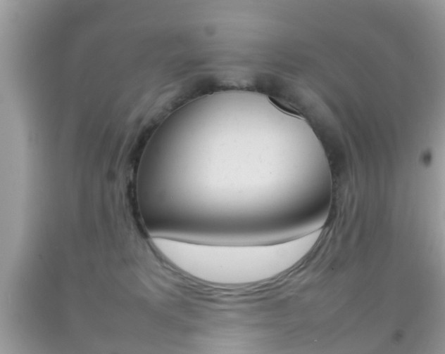 X0000092210229200709140907