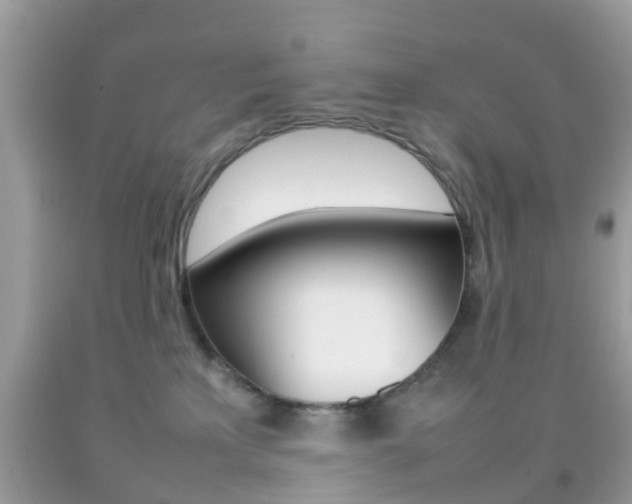 X0000092210233200709140907