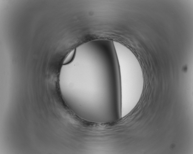 X0000092210235200709140907