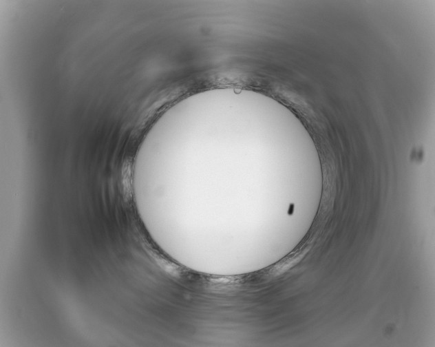 X0000092210240200709140907