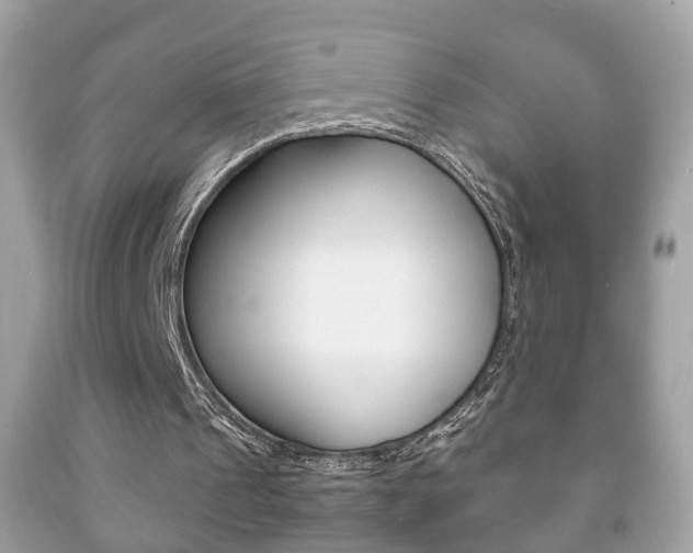 X0000092210241200709140907