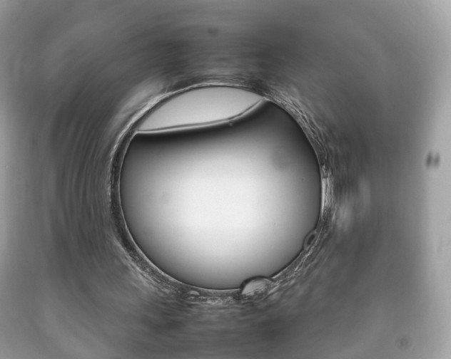 X0000092210243200709140907