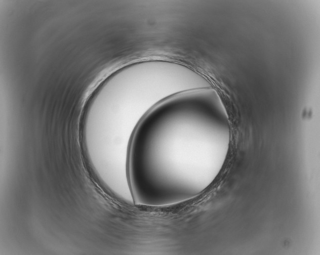 X0000092210244200709140907