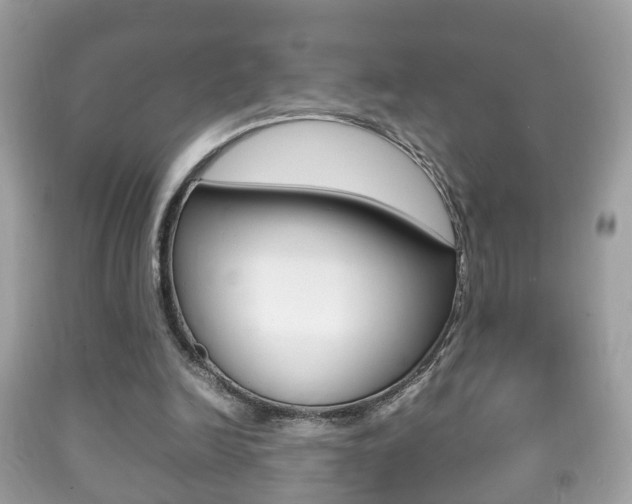 X0000092210246200709140907