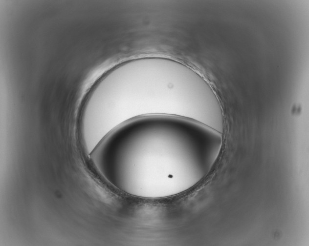 X0000092210248200709140907
