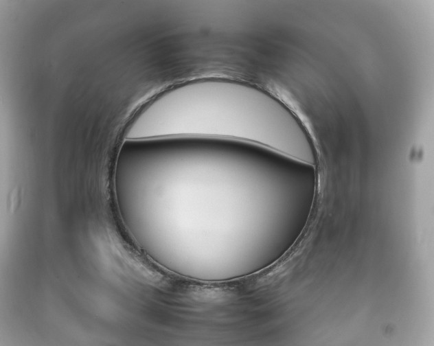 X0000092210249200709140907