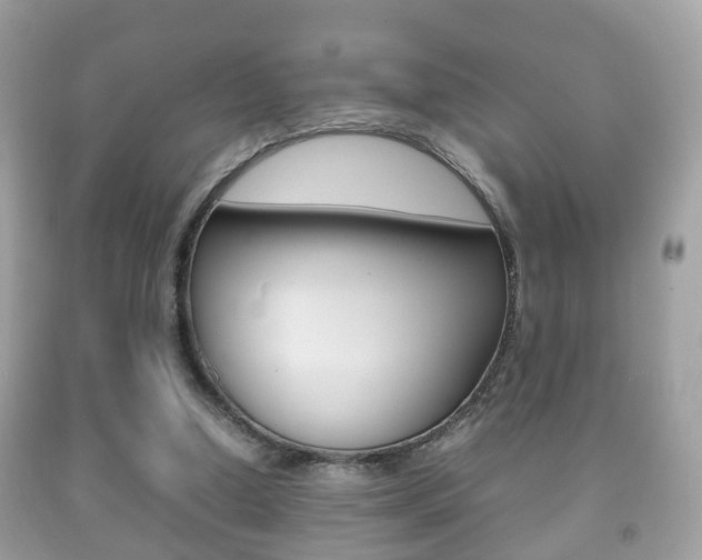 X0000092210250200709140907