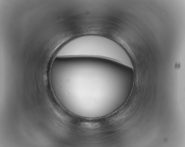 X0000092210251200709140907