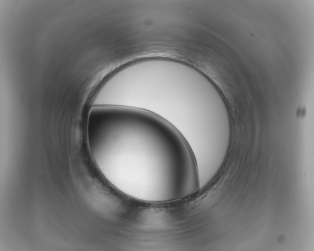 X0000092210252200709140907
