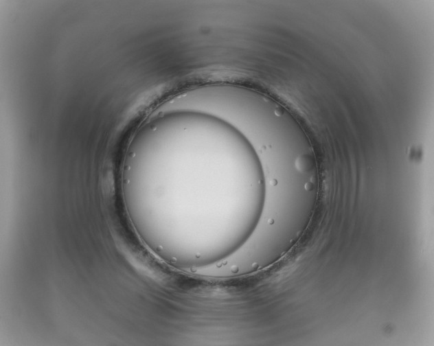 X0000092210254200709140907