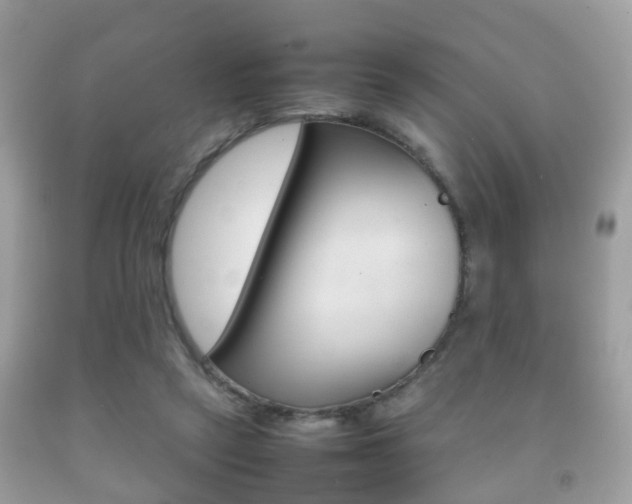 X0000092210257200709140907
