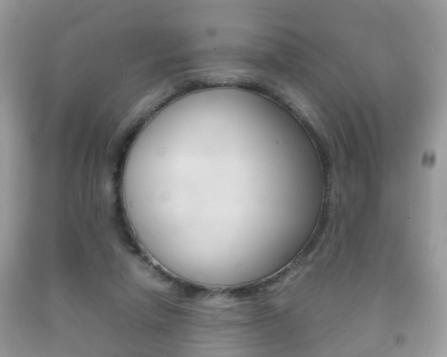 X0000092210258200709140907