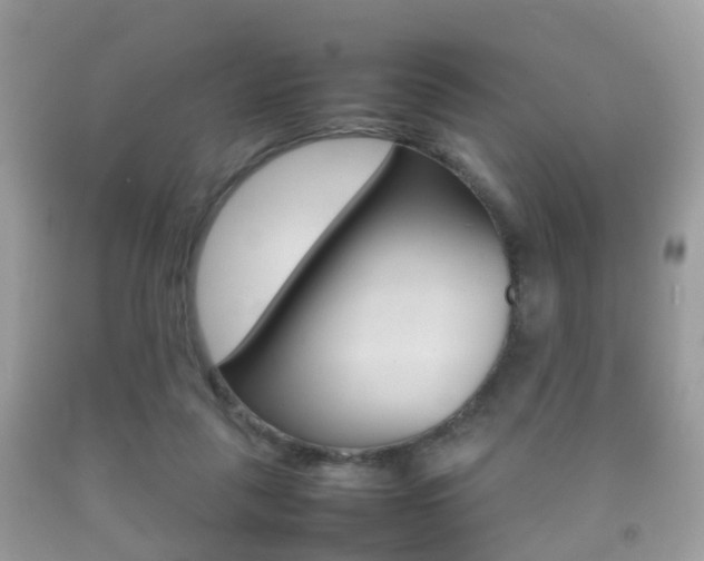 X0000092210259200709140907