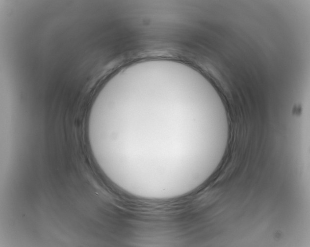 X0000092210260200709140907