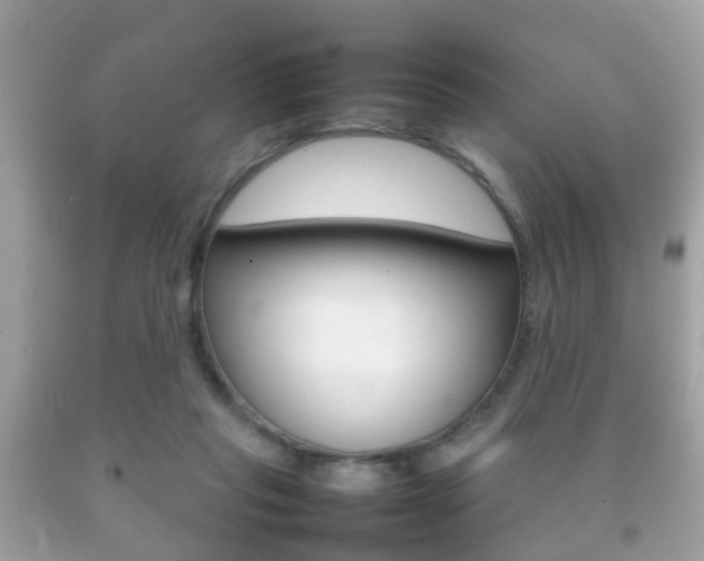 X0000092210261200709140907
