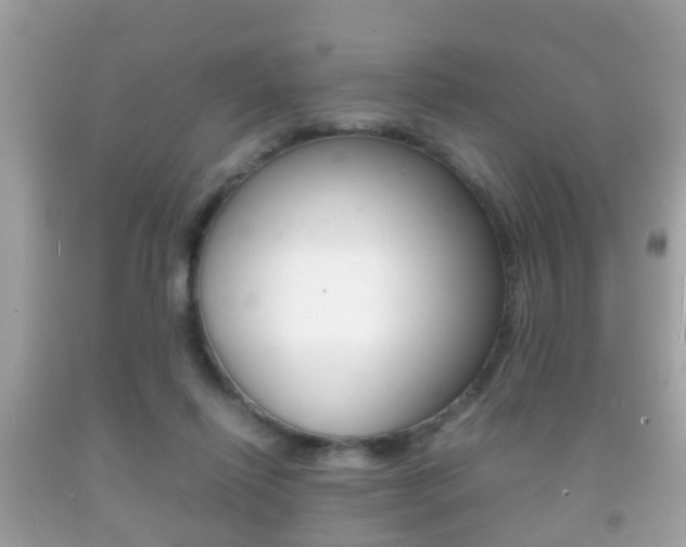 X0000092210262200709140907