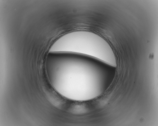 X0000092210263200709140907