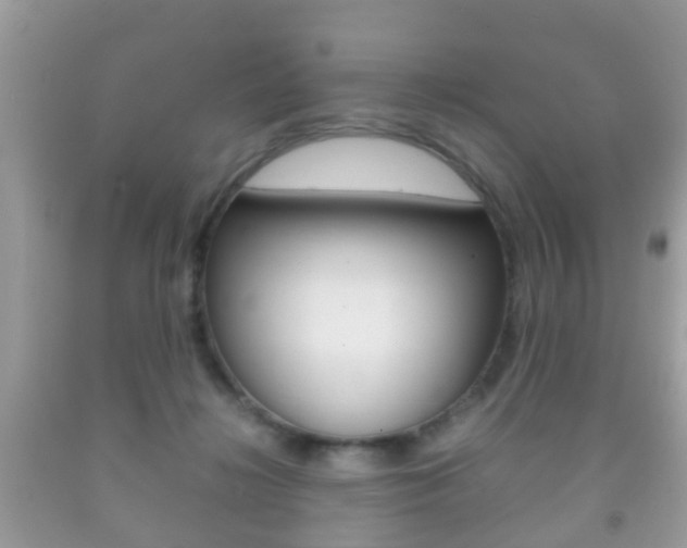 X0000092210268200709140907