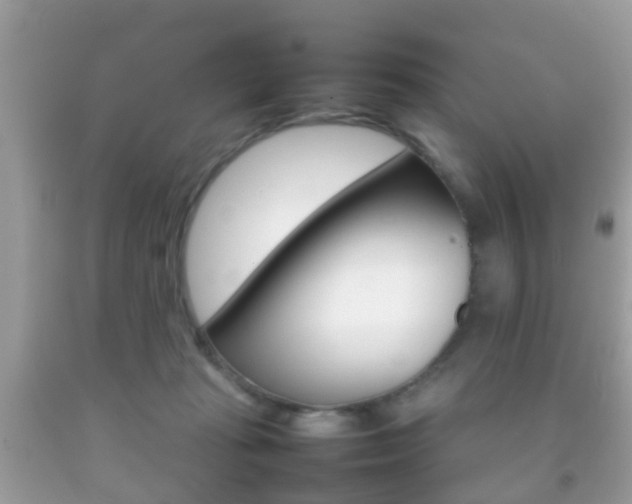 X0000092210269200709140907