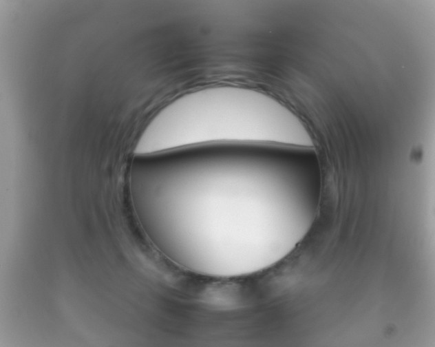 X0000092210271200709140907