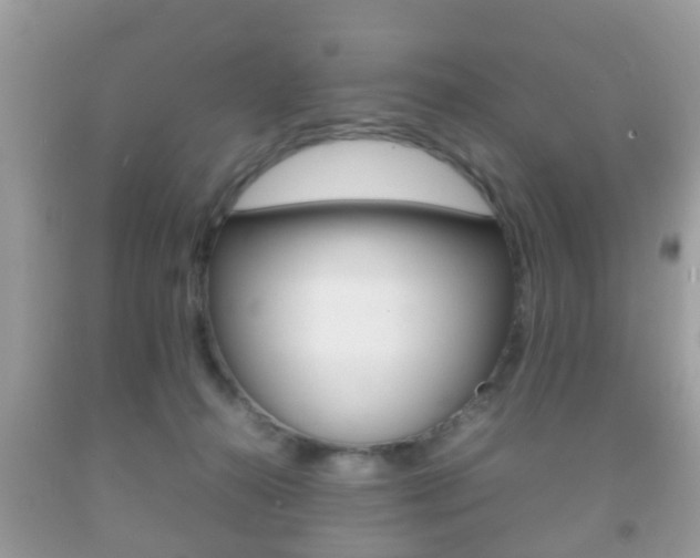 X0000092210272200709140907