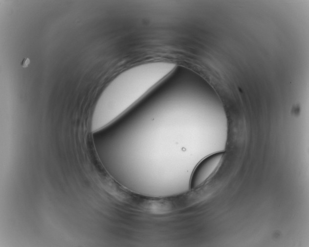 X0000092210275200709140907