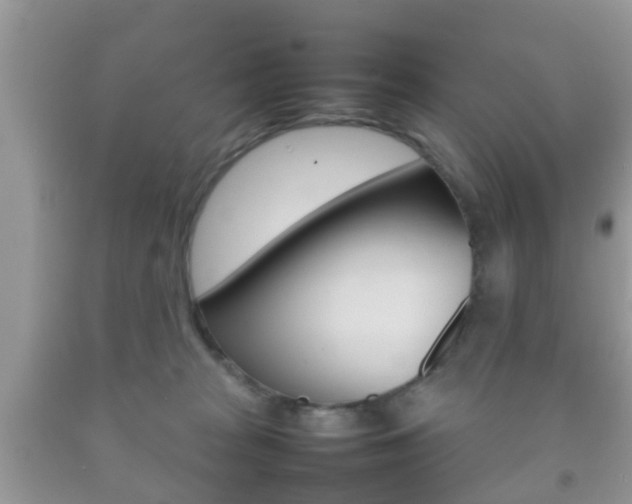 X0000092210277200709140907